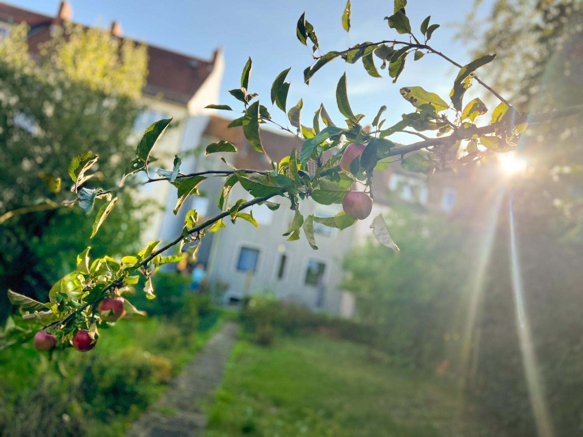 Immostay #8 - Haus Fuer 13 Personen Mit 7 Zimmer - Grosser Garten & Grill, Free Parking, Wlan BRE Esterno foto